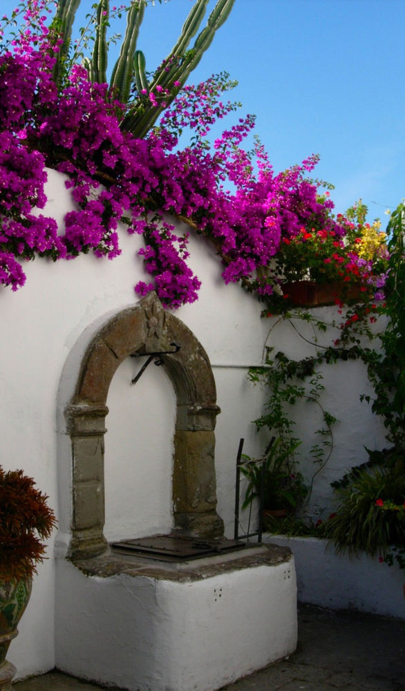 Ferienwohnung Capri Myhouse 3 Anacapri  Exterior foto